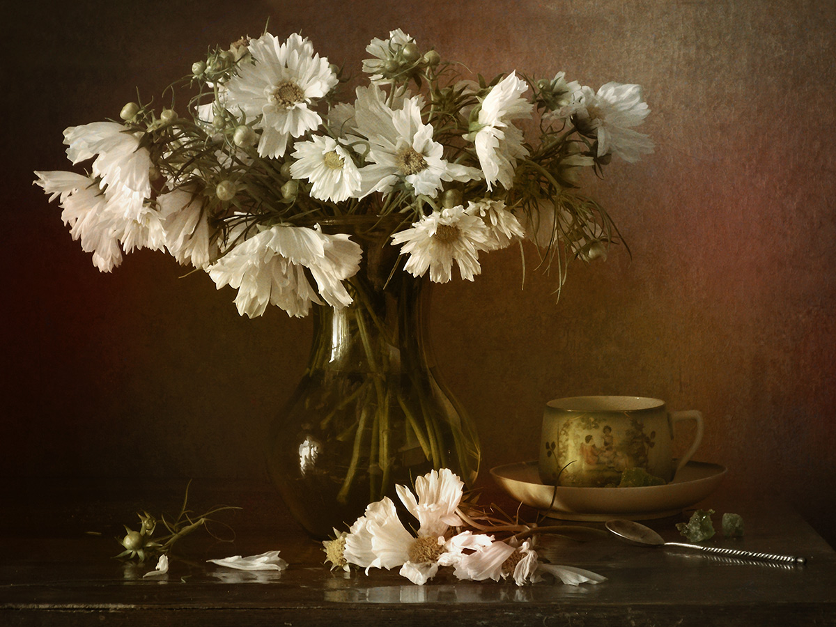 Mit weißen kosmeey ...