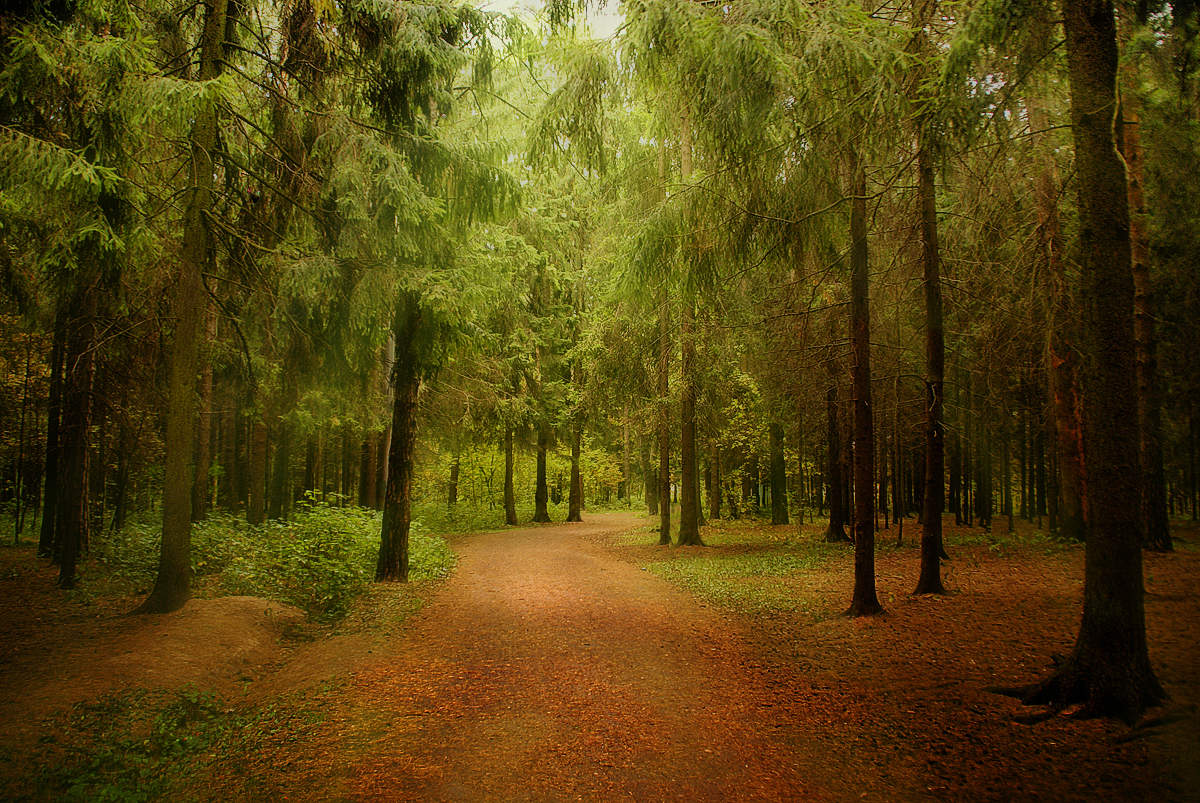 Ein Spaziergang im Park ...