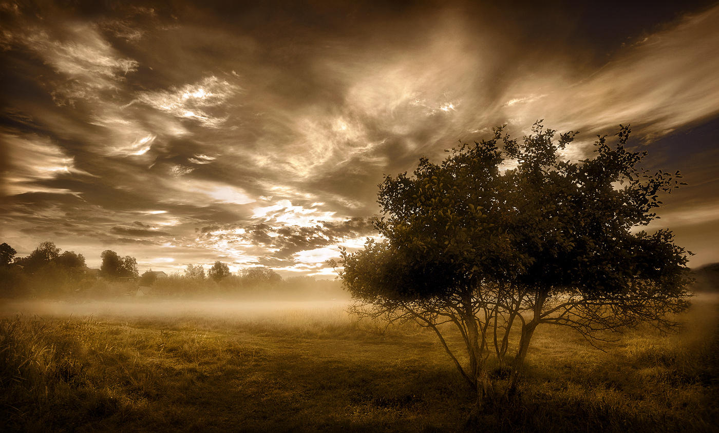 Brutal Morgengrauen ...