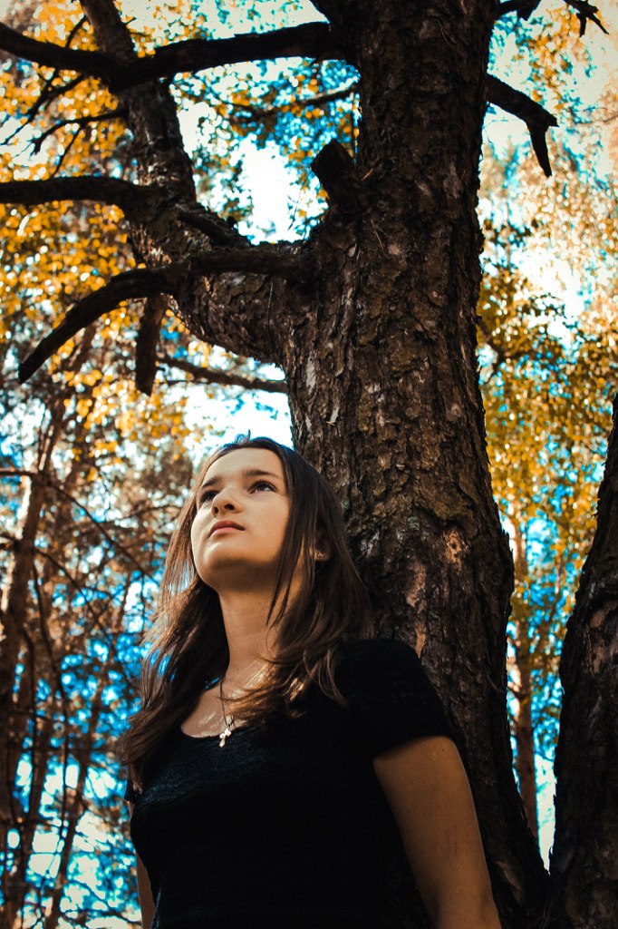 Das Mädchen in den Wäldern