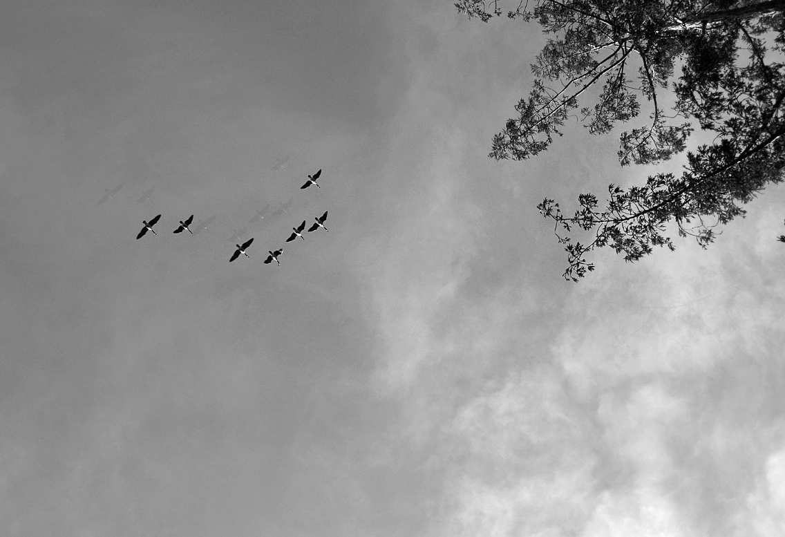 Nicht von Sekunden mit hoher denken