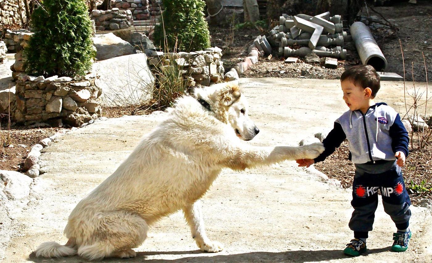 Freunde! Varzob. Tadschikistan