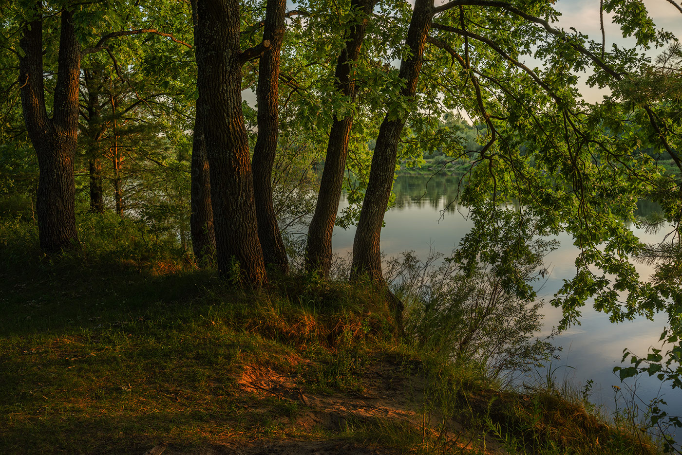 Der Abend am Ufer des Sozh