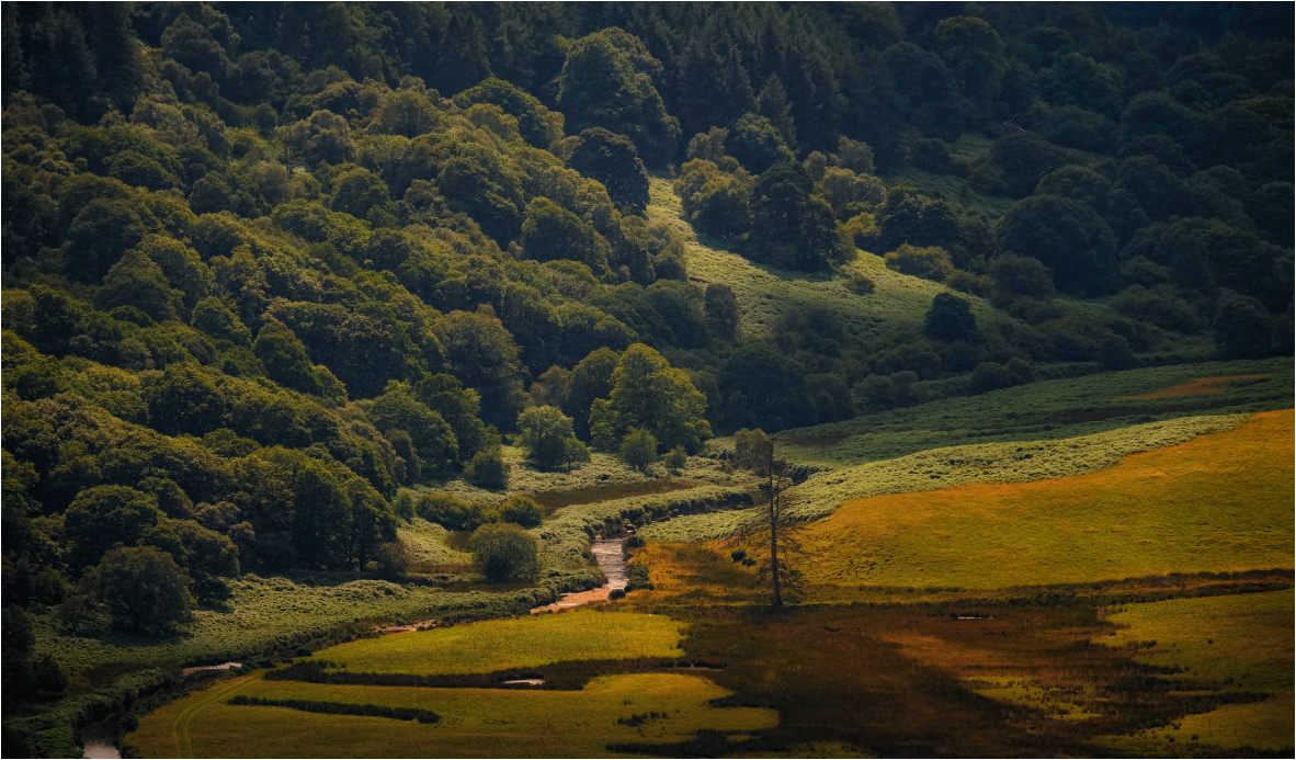 ...tints and shades III...