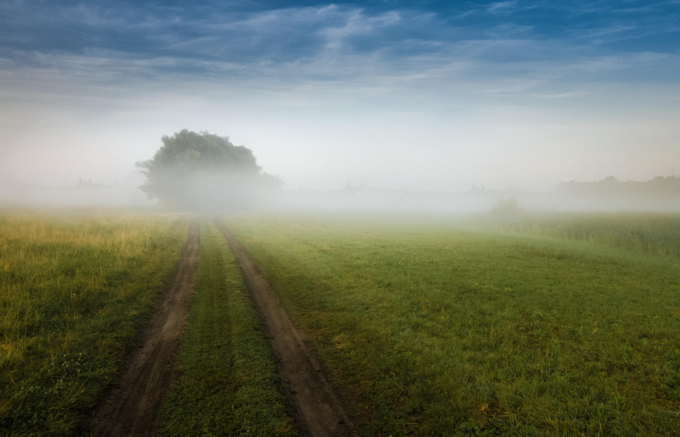 Der Weg in den Morgen