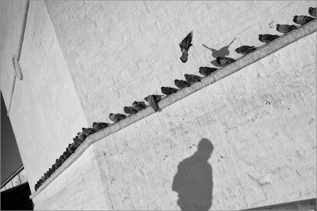 Nicht das vollständige Bild