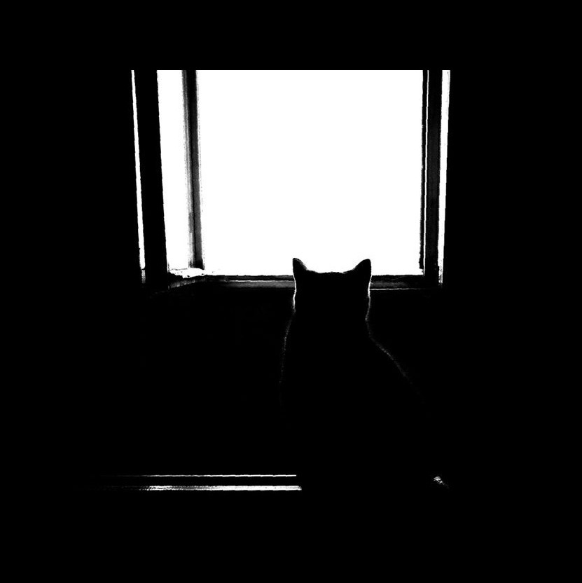 Nicht das vollständige Bild