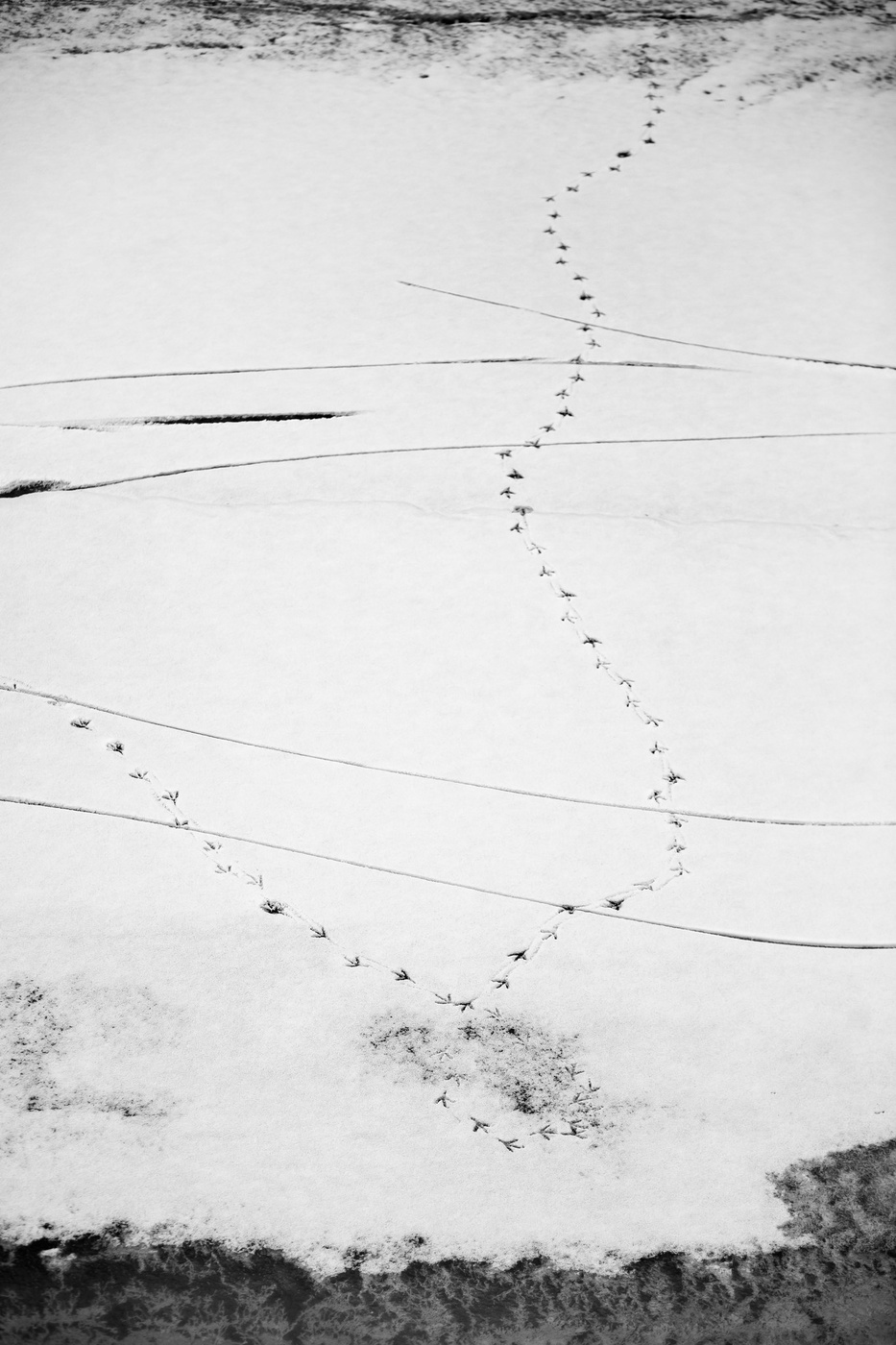 Nicht das vollständige Bild