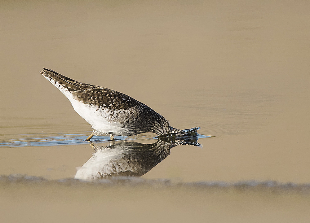 Nicht das vollständige Bild