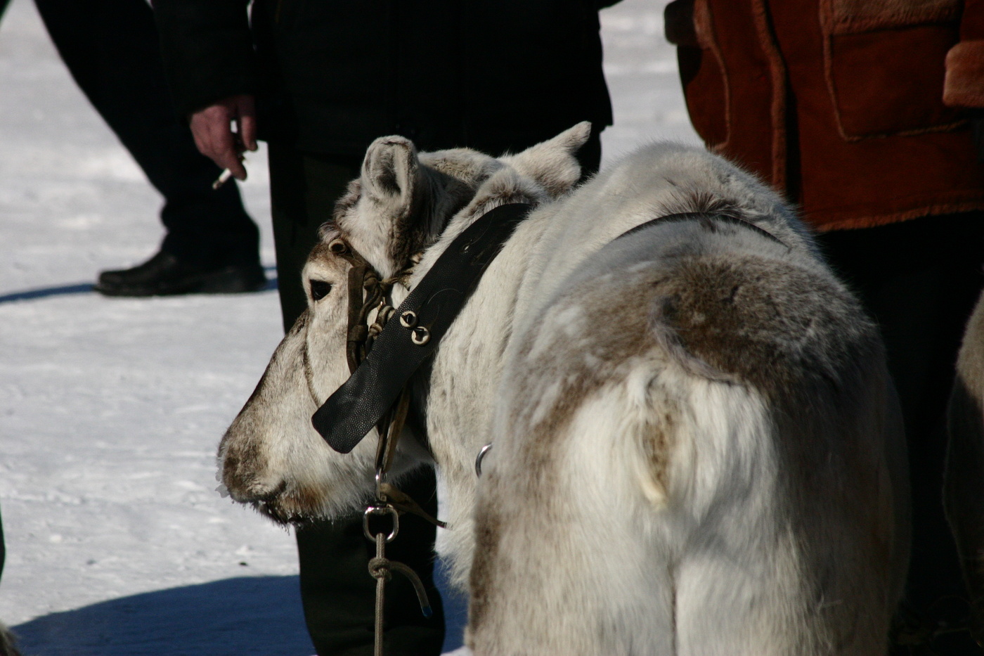 Nepolnayakartina Freitag