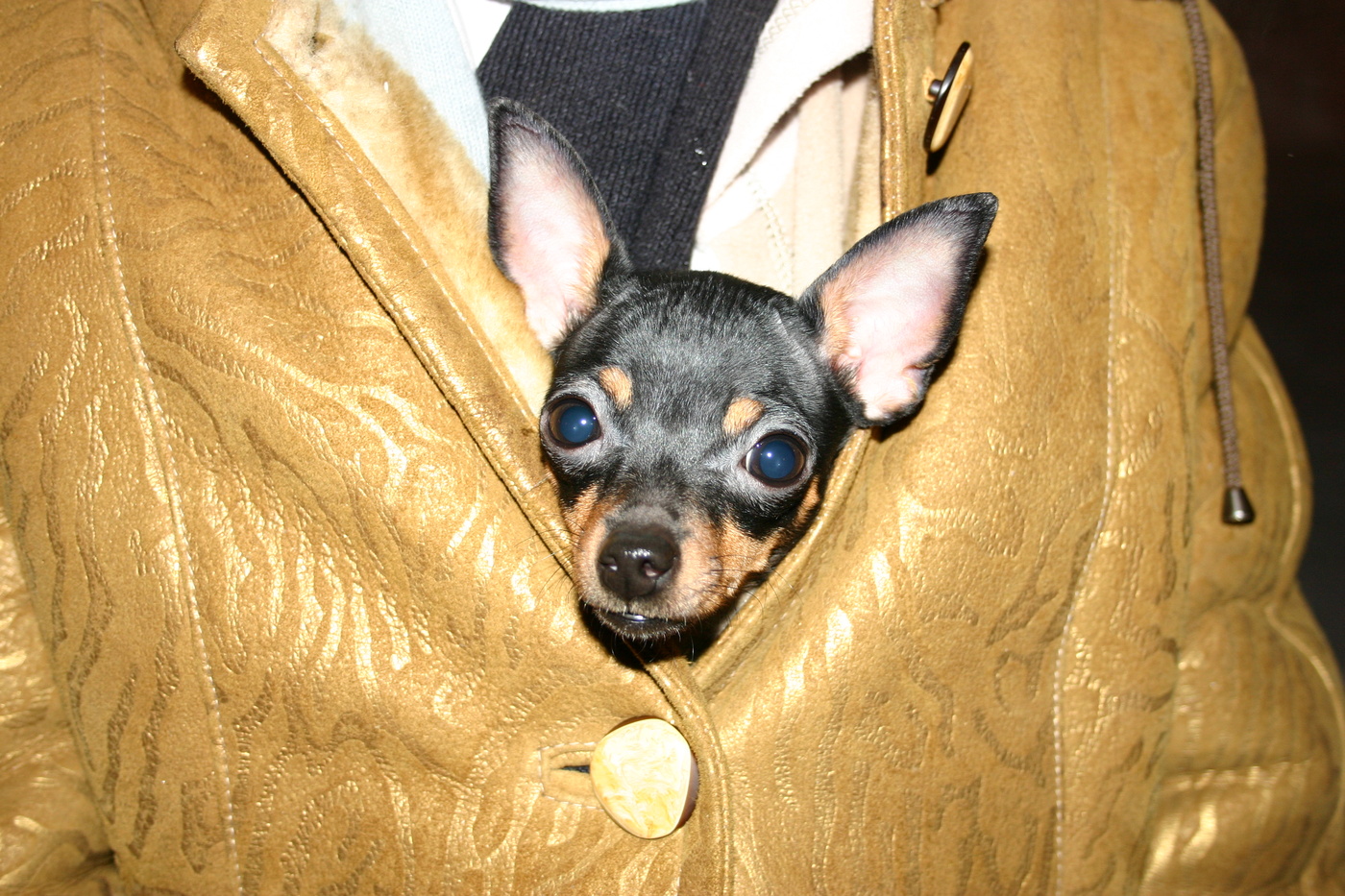 Nicht das vollständige Bild