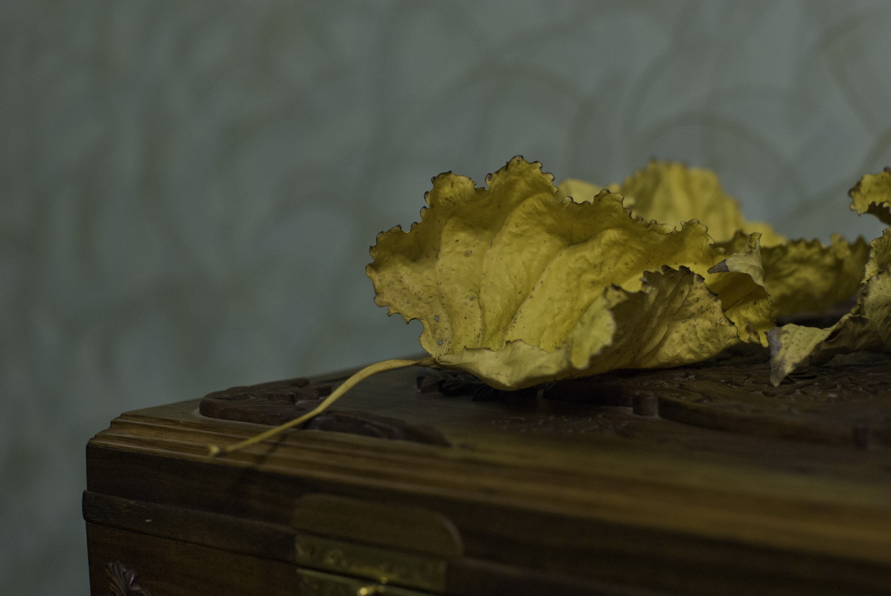 Nicht das vollständige Bild