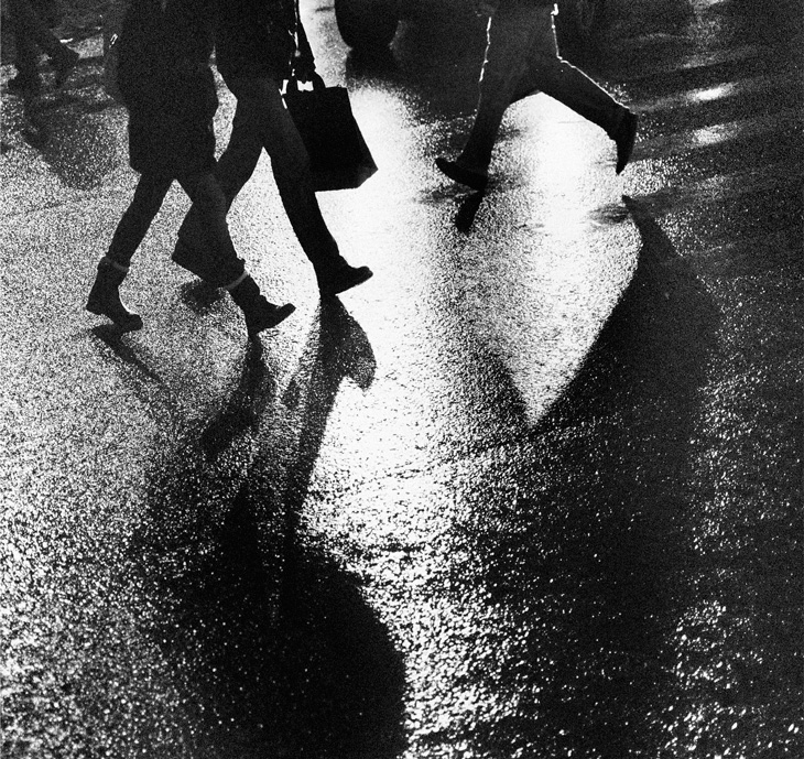 Nicht das vollständige Bild