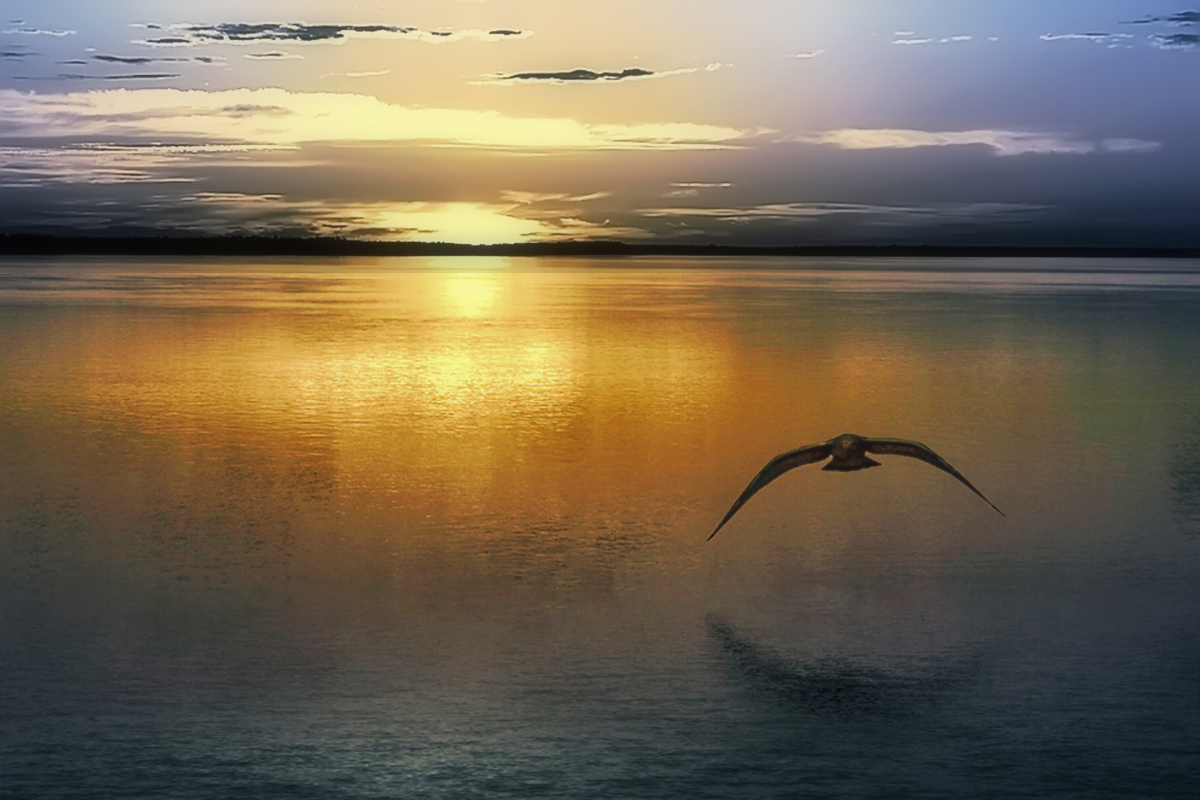 Ein neuer Tag auf den Flügeln von Fliegen zu uns ...