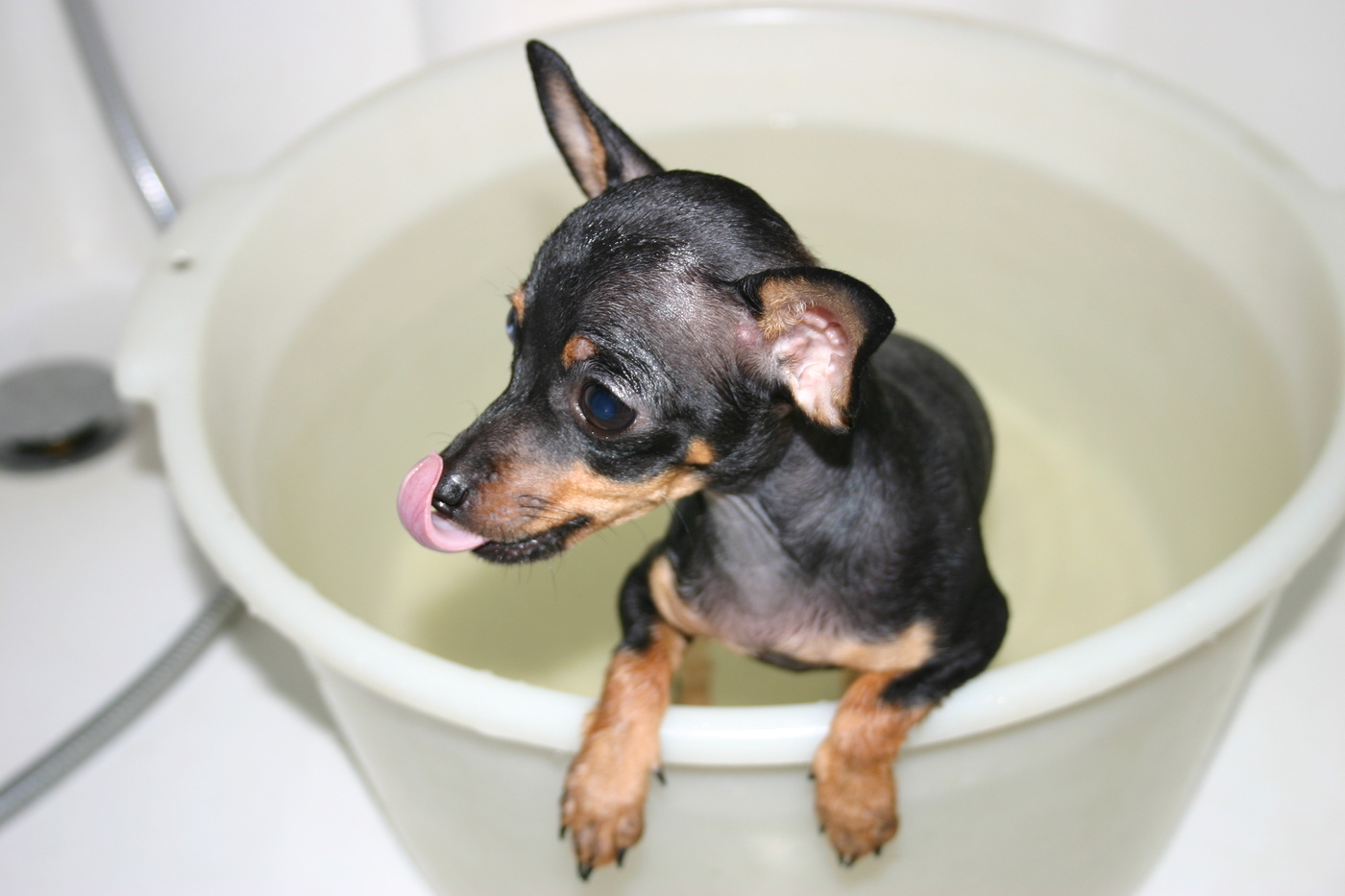 Außerordentliche Möglichkeiten .....