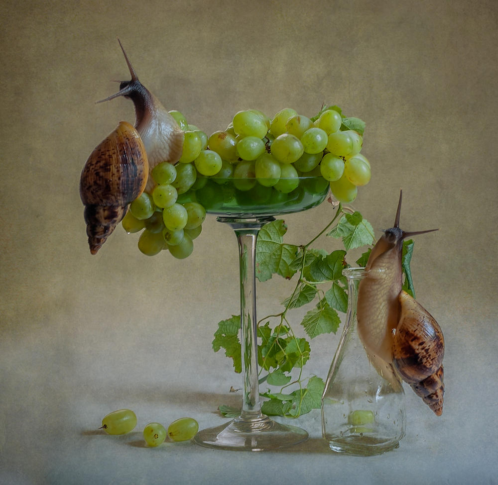 Es ist hier, Geburtstag ?? :)))