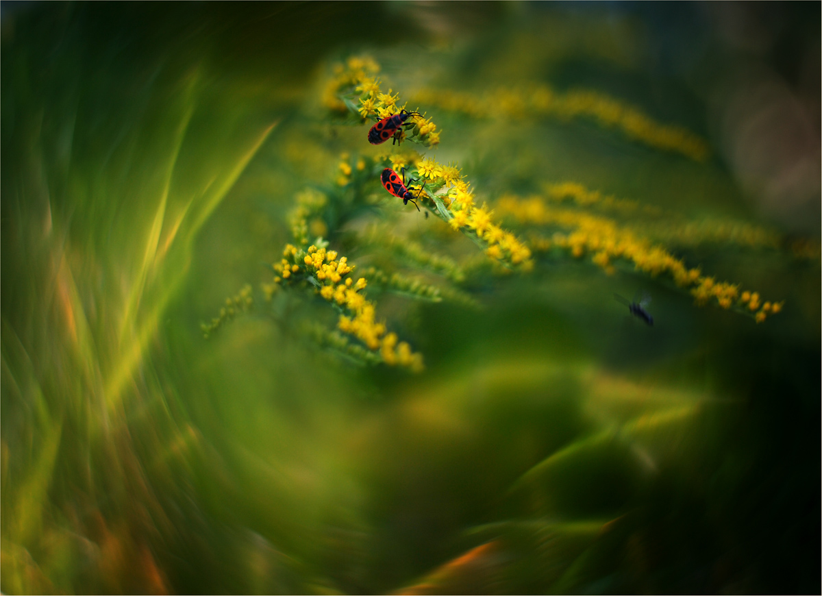 Essen Himmel und Erde