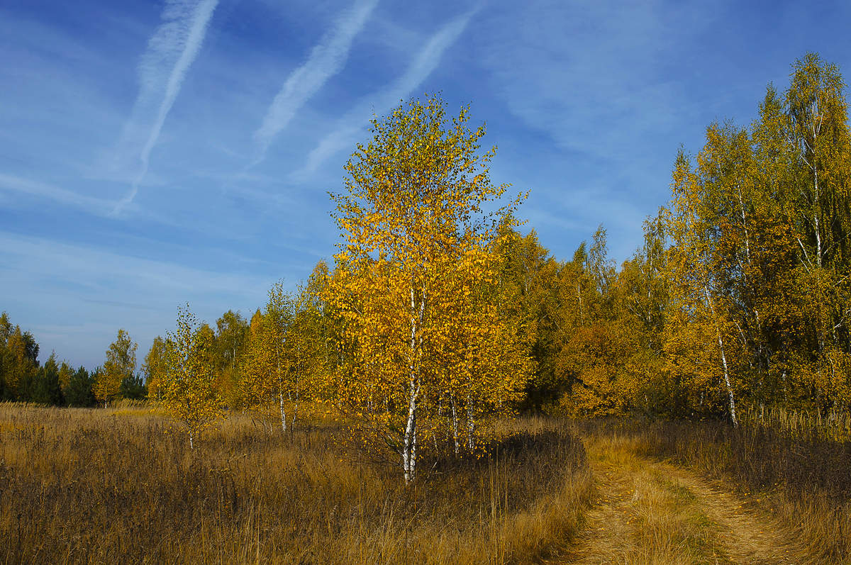 Der letztjährige Rückgang