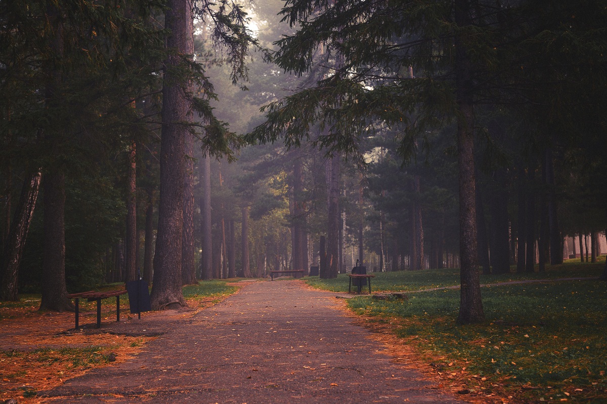 Ein Spaziergang durch den Herbst.