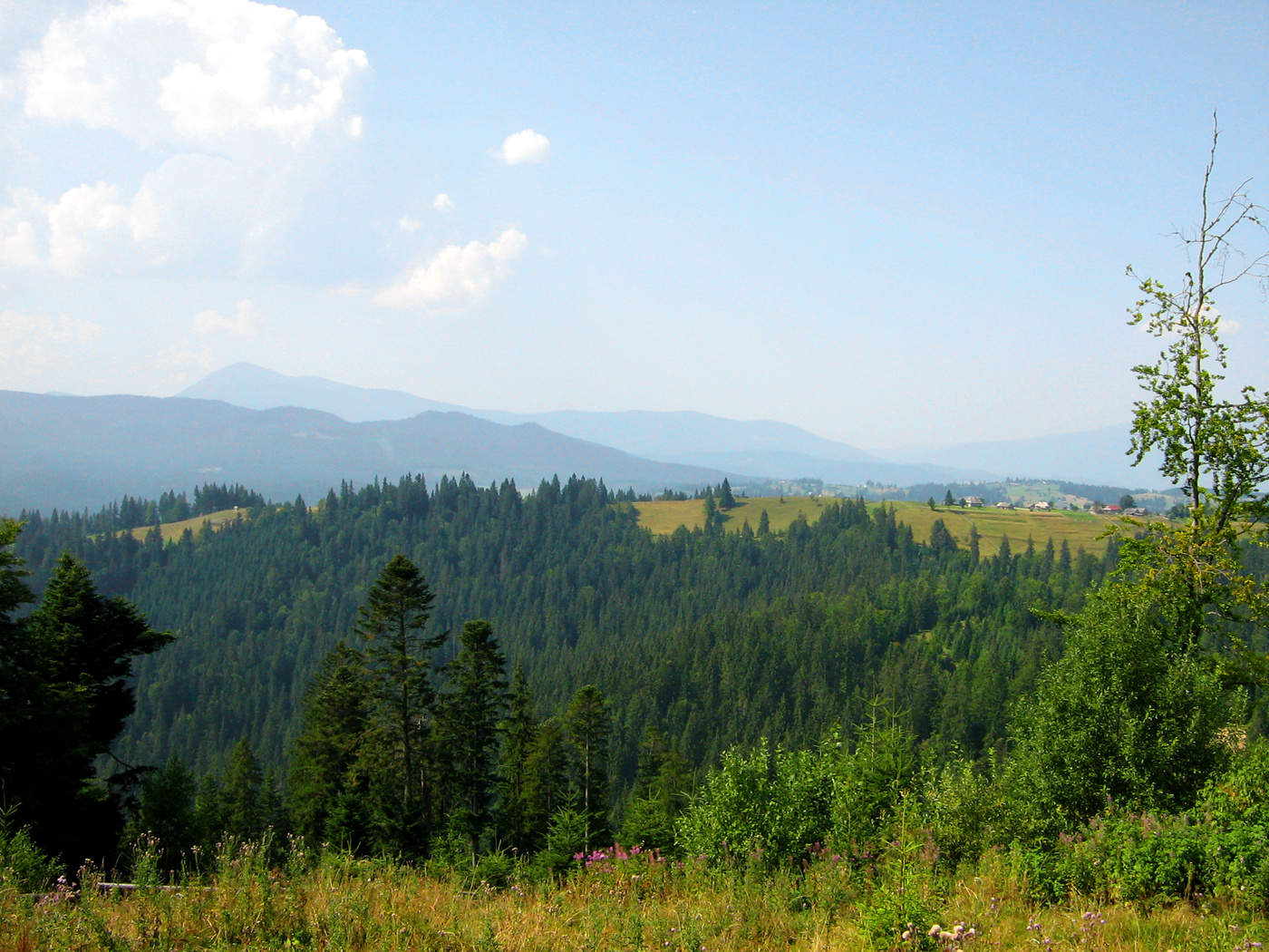 Größe der Karpaten