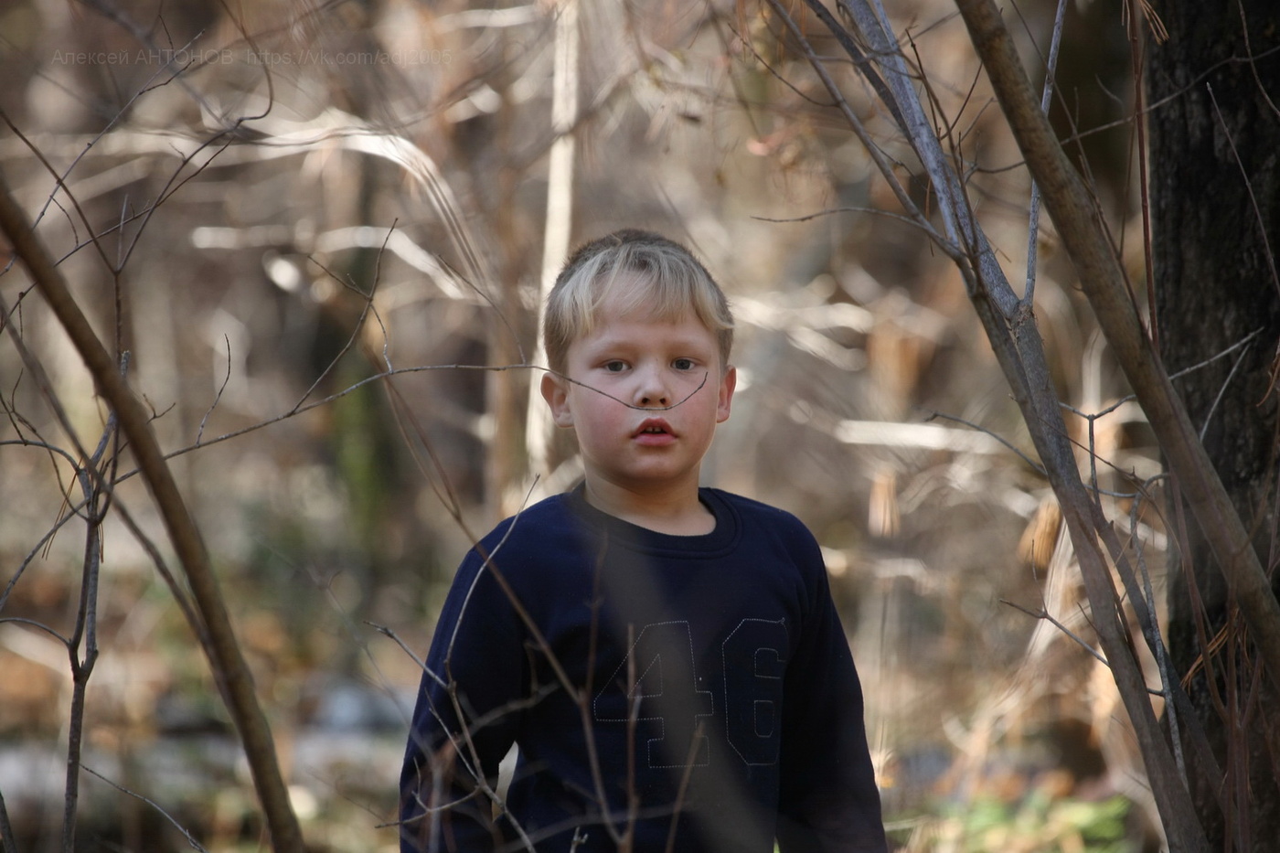 Sarkasmus aus der Natur