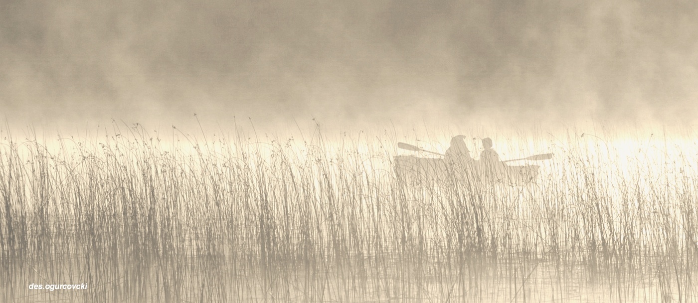 in den frühen Morgenstunden