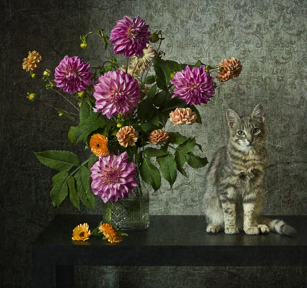 Cat und Dahlien