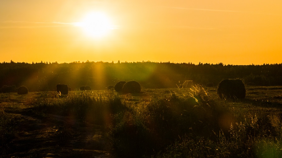 Nur der Sonnenuntergang ....