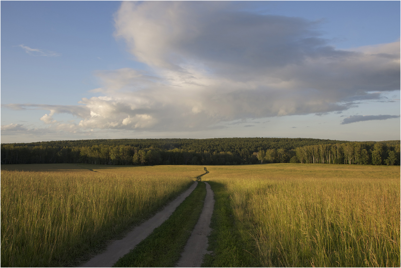 Russische Feld