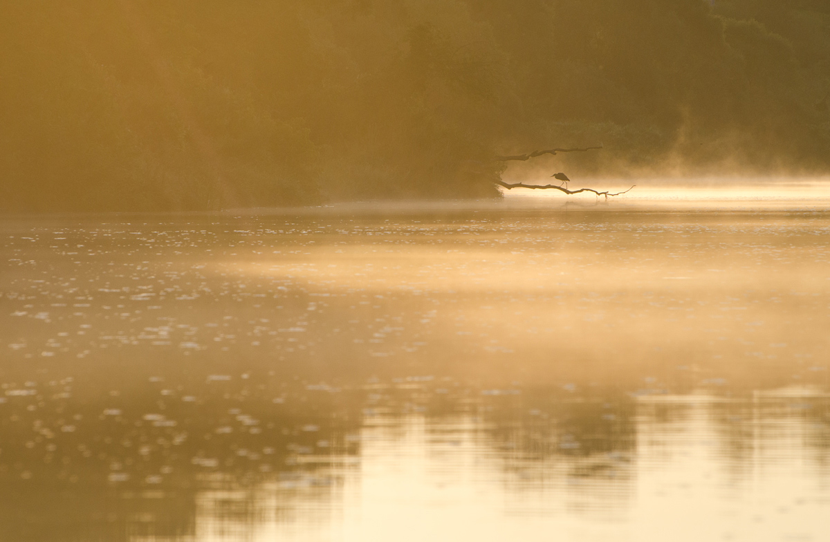 Nur noch Stehplätze