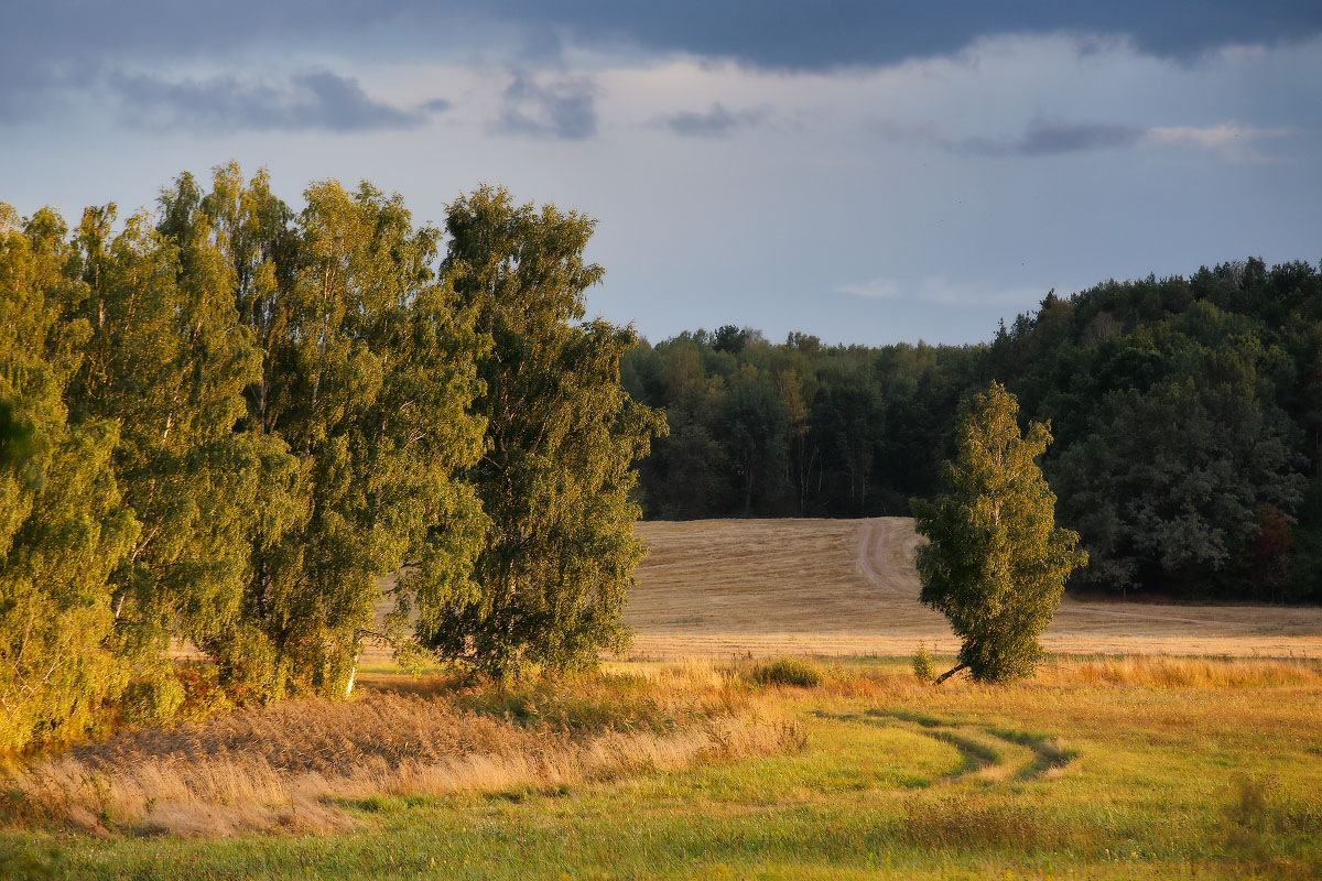 Das Gefühl der Herbst