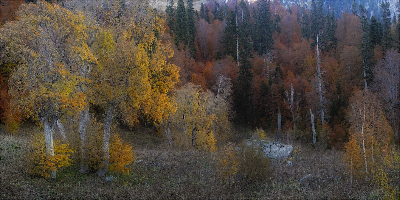 Erinnerungen an die Zukunft fallen