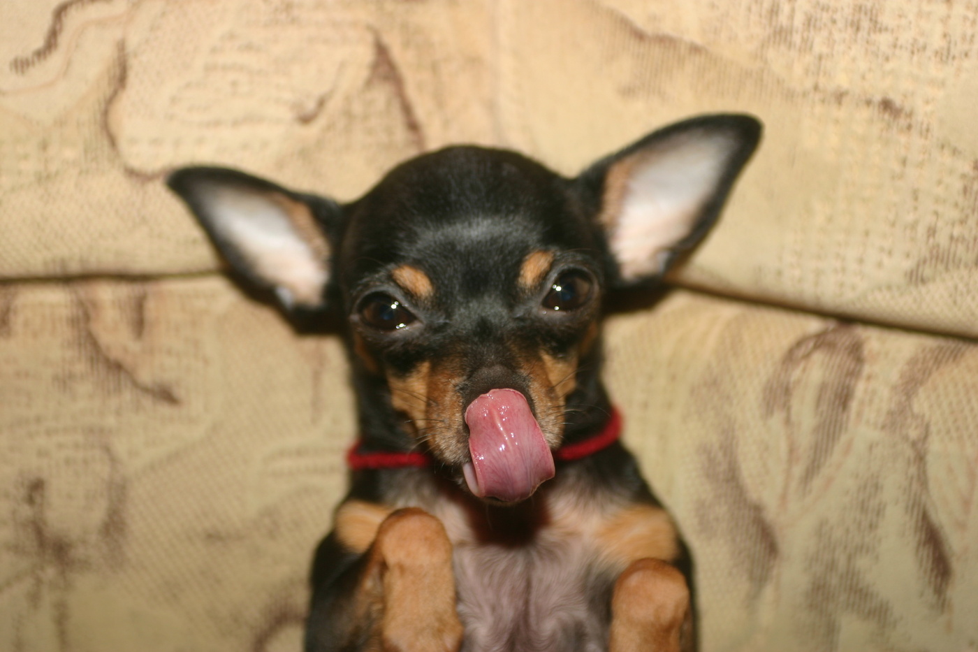 Und schauen Sie sich ein wenig zu bekommen :)