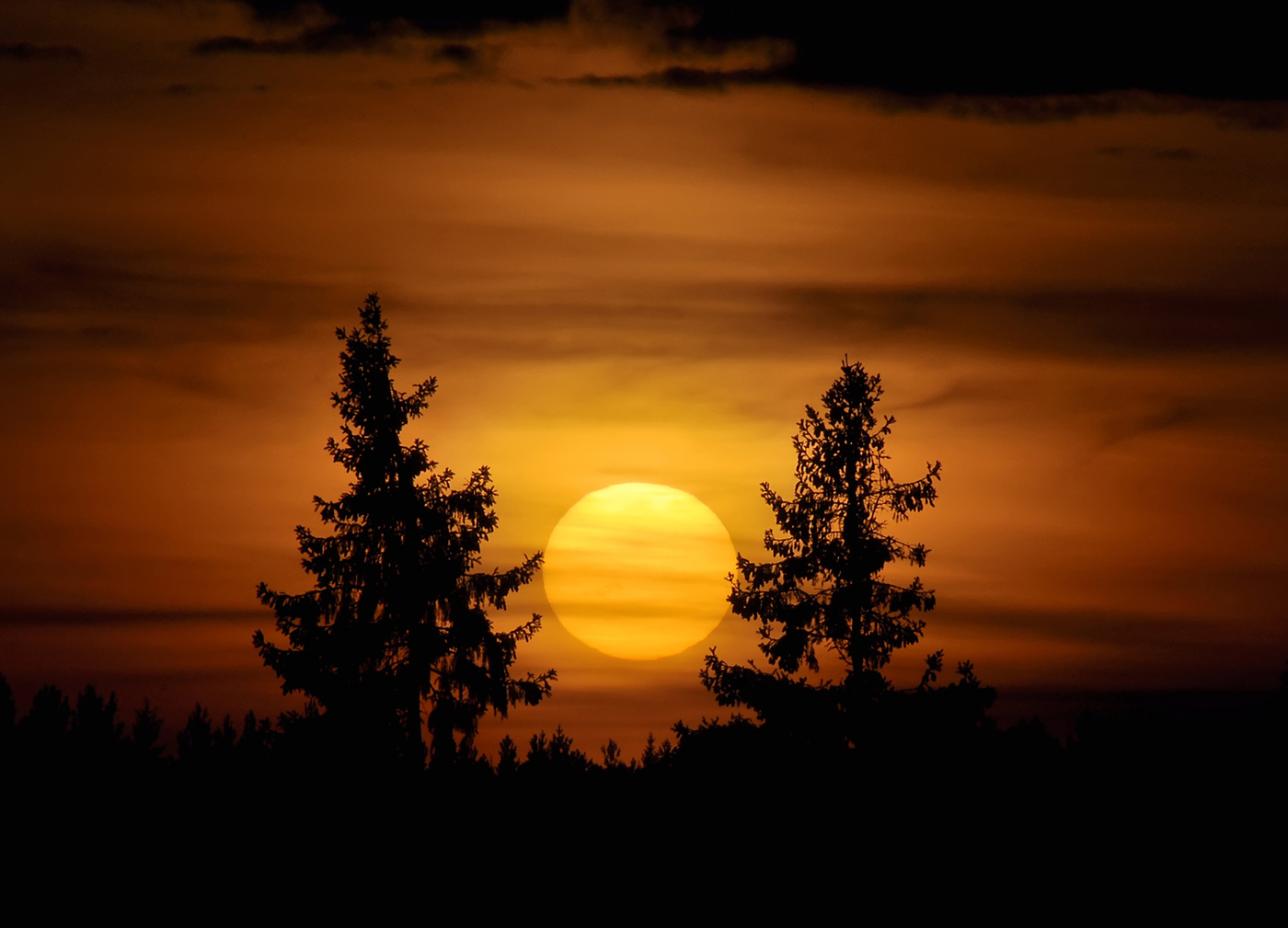 Playmates bei Sonnenuntergang