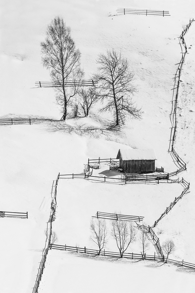 Auf den Linien des Winters