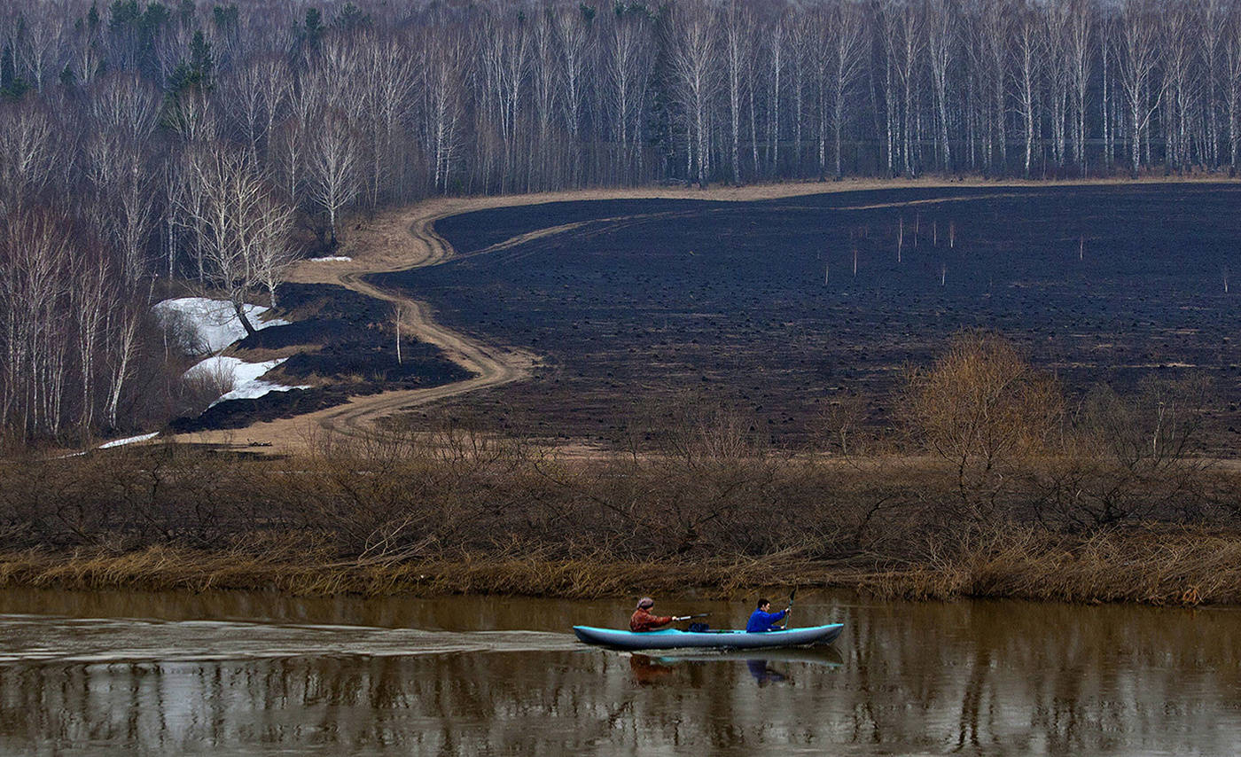 Feder Vielzahl von Wegen