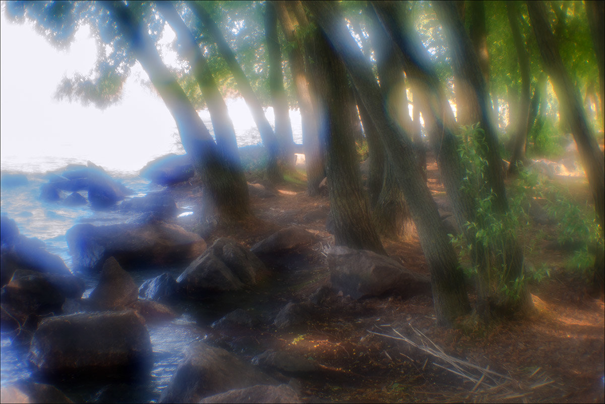 Licht Halluzinationen