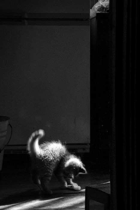 Licht Halluzinationen