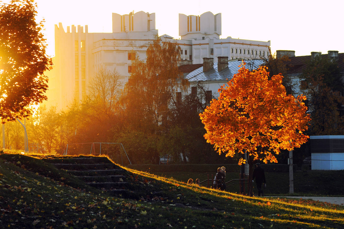 Licht Halluzinationen