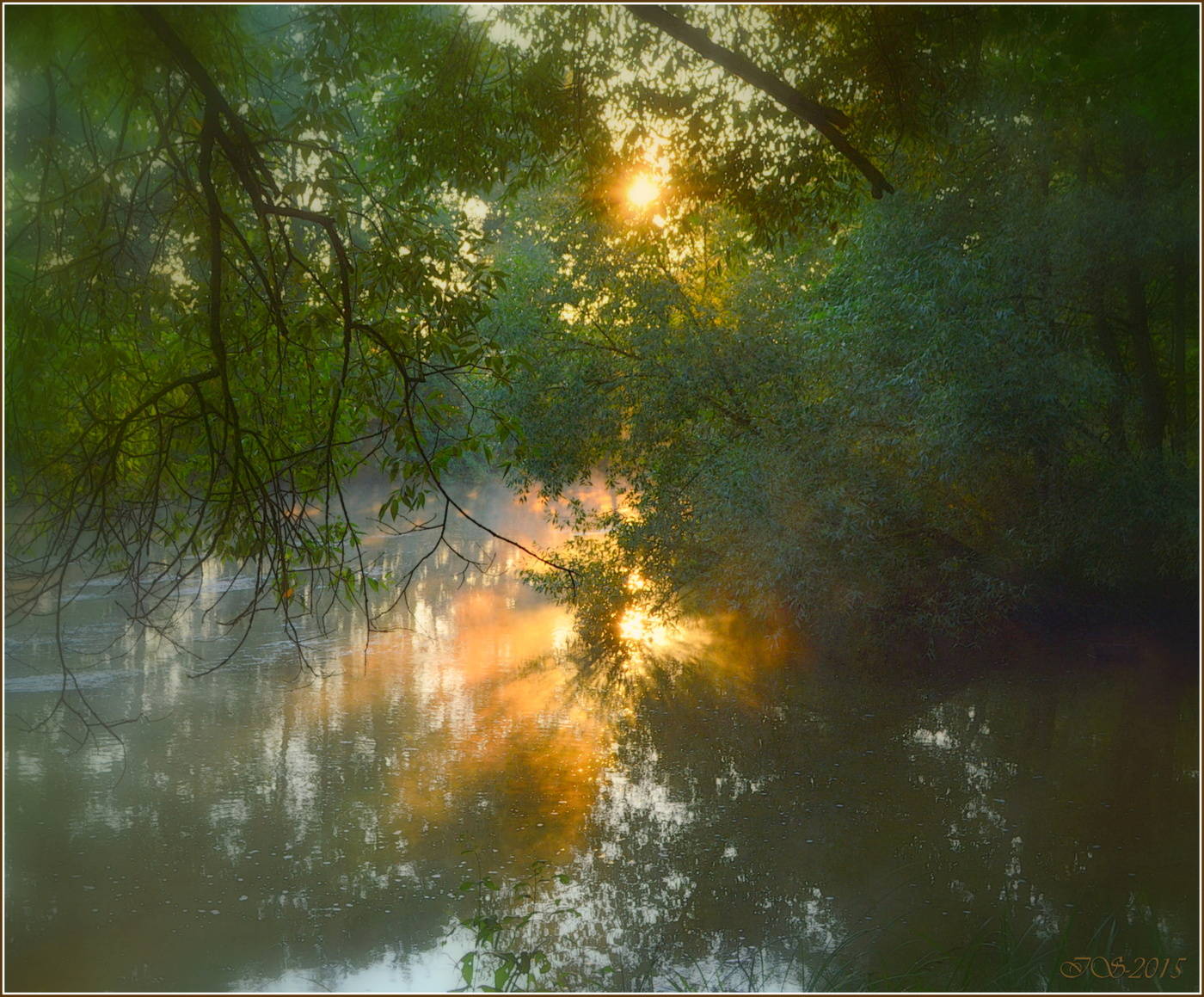 Licht Halluzinationen