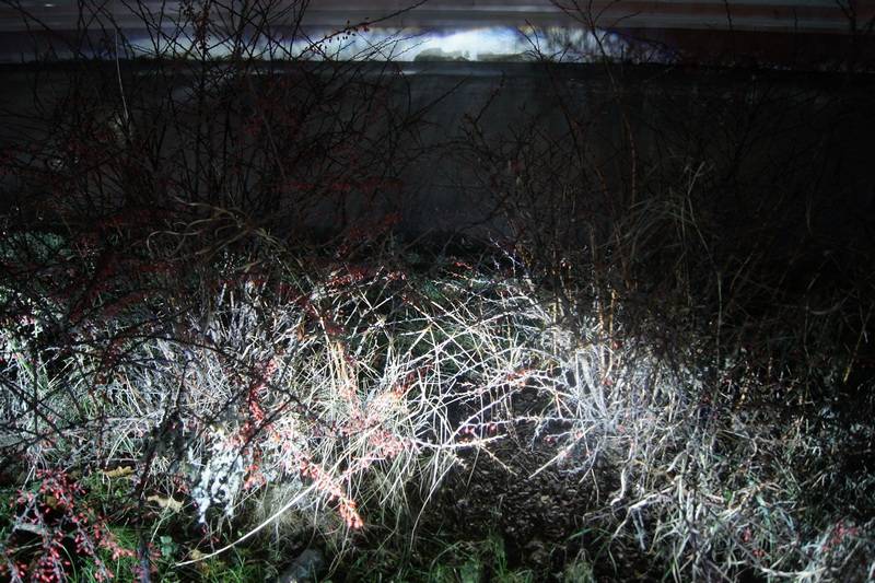 Licht Halluzinationen