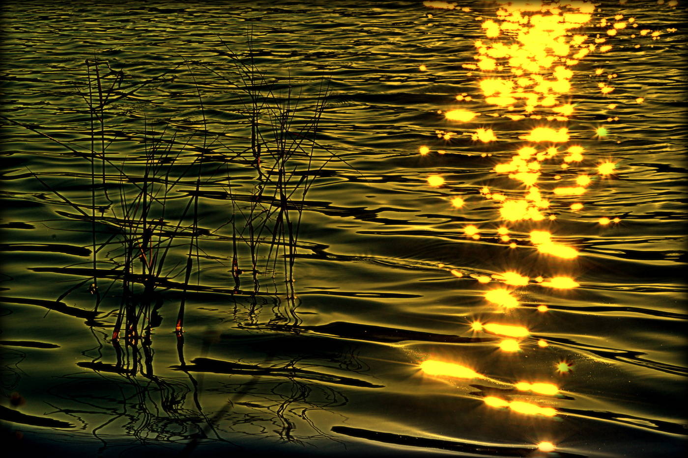 Licht Halluzinationen