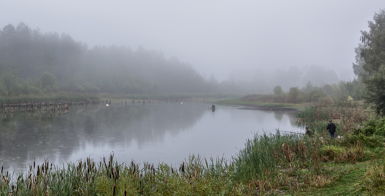 Guten Morgen, Karpfen!