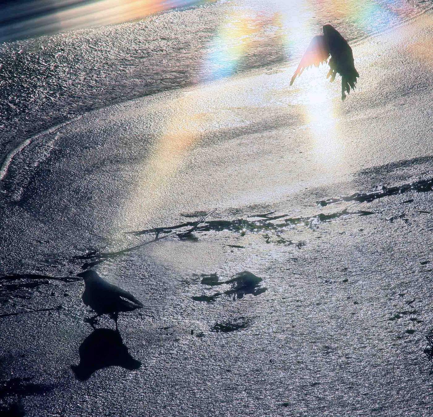 Licht Halluzinationen