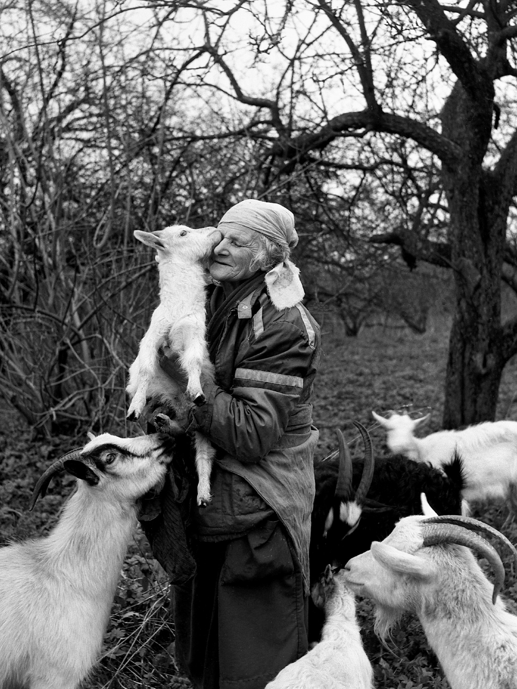 Im Klostergarten. 1986