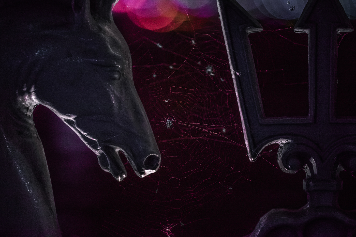 eine weitere Spinne)))