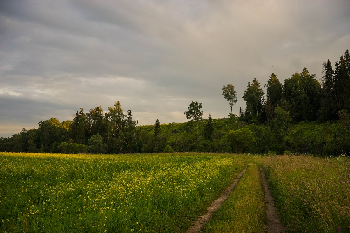 Ein wenig von der Sommer ...