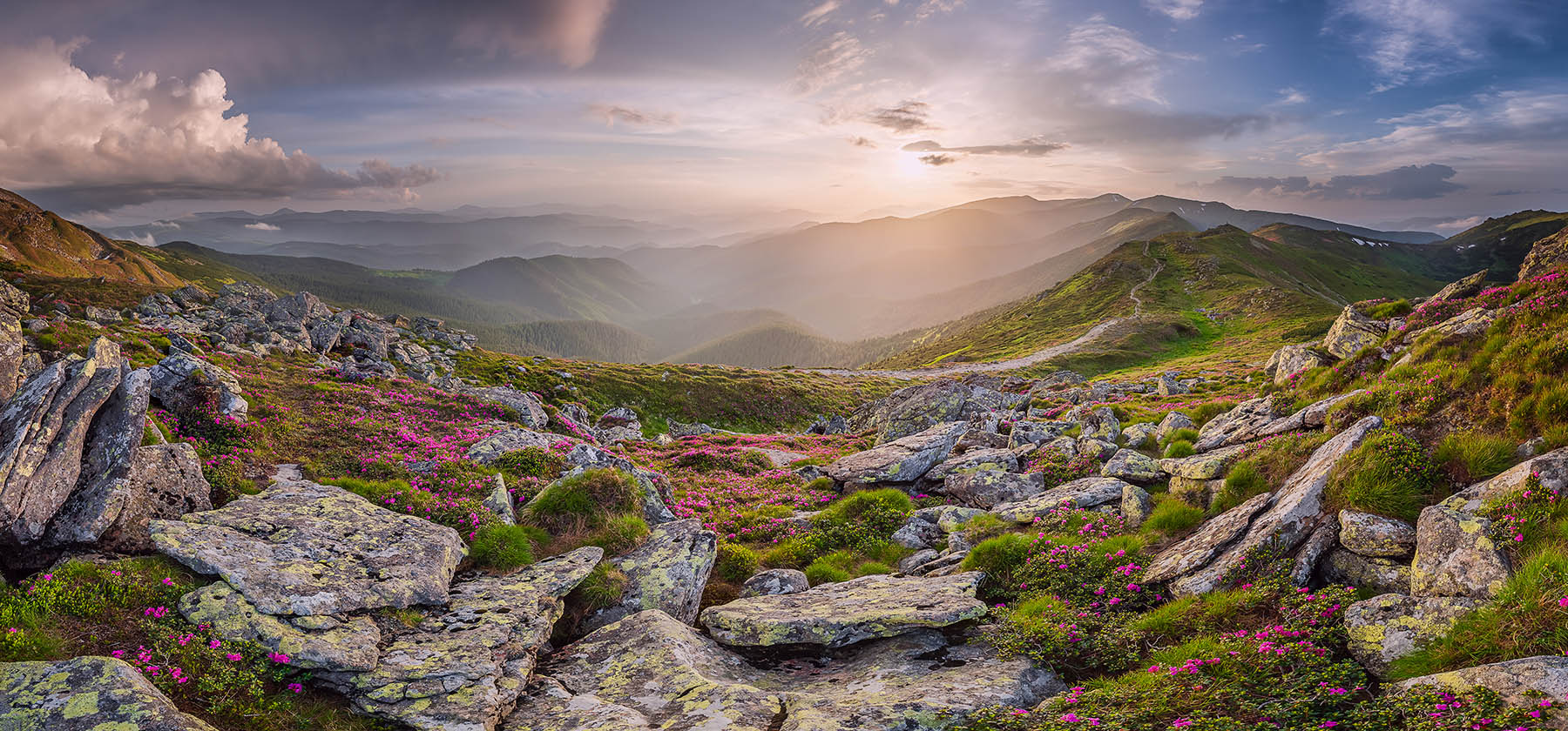 Montenegrinischen Abend