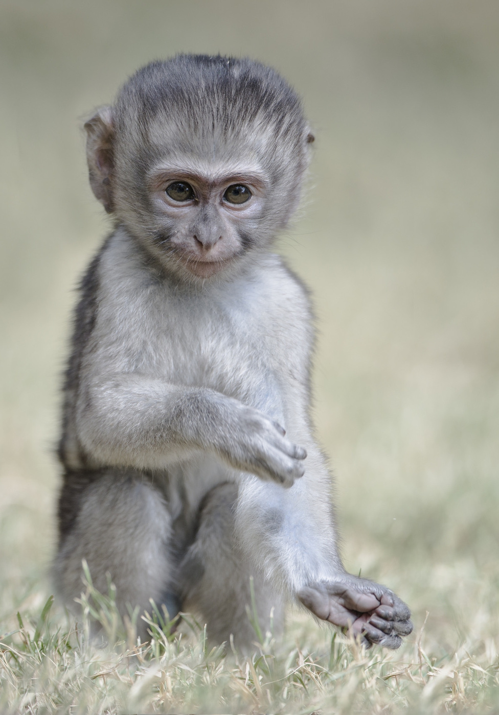 "Ein wenig sonderbar!"
