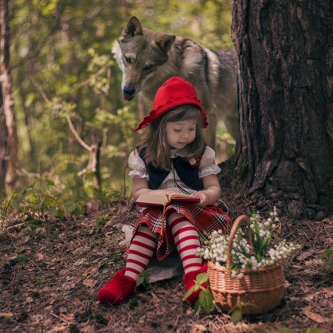 Red Riding Hood